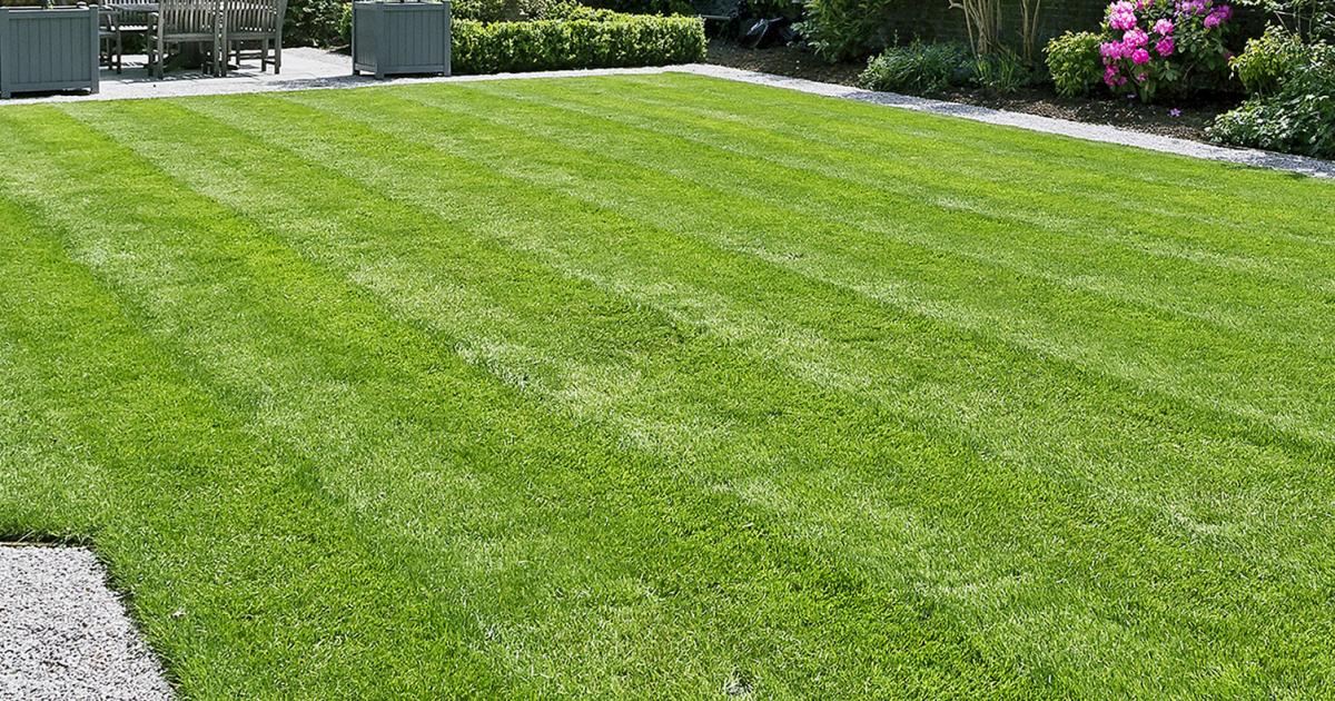 A freshly cut back lawn