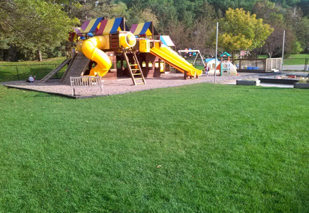 Healthy looking grass surrounding a playground