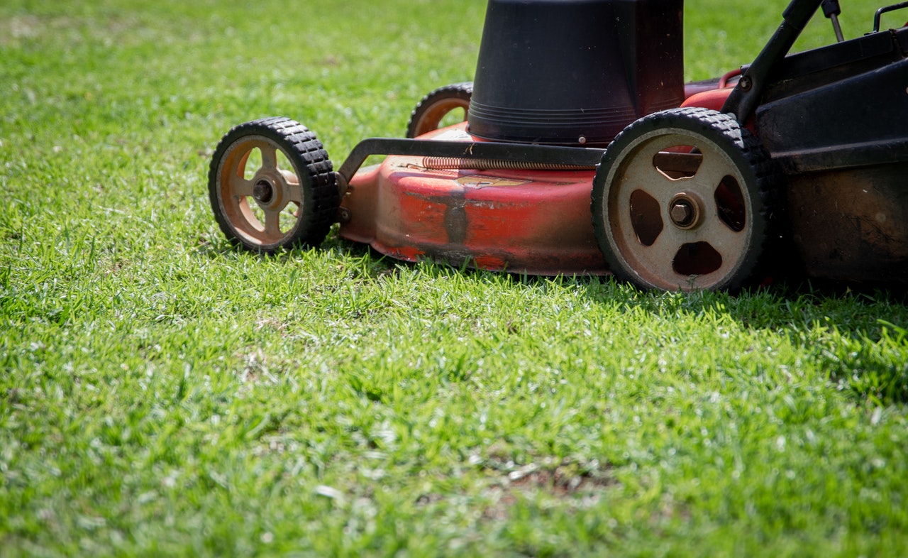 Older red lawn mower on grass.