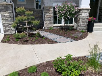 Lunseth_gallery_plant_2