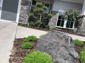 Lunseth_gallery_plant_3