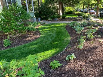 Lunseth_gallery_plant_5